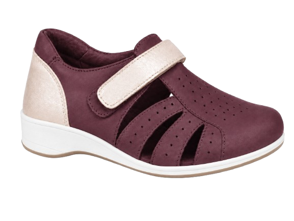 AERA F